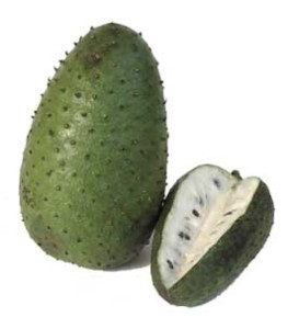 graviola
